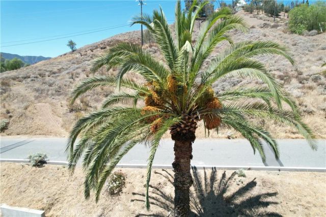 1 Palm, Lake Elsinore, CA 92530