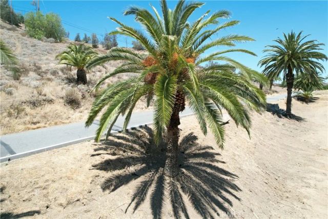 1 Palm, Lake Elsinore, CA 92530