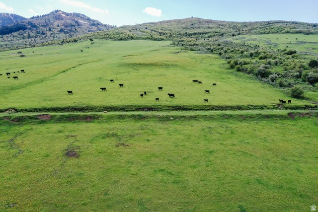 6746 N CAPITOL RD, Preston, ID 83263