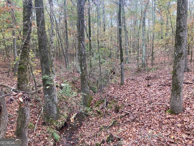 0 Flatwoods Road, Elberton, GA 30635