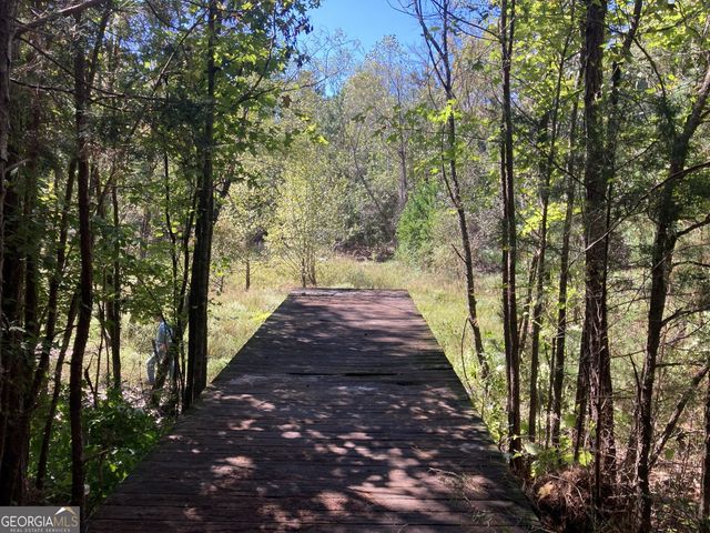 0 Flatwoods Road, Elberton, GA 30635