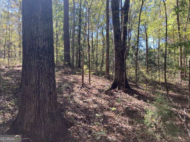 0 Flatwoods Road, Elberton, GA 30635