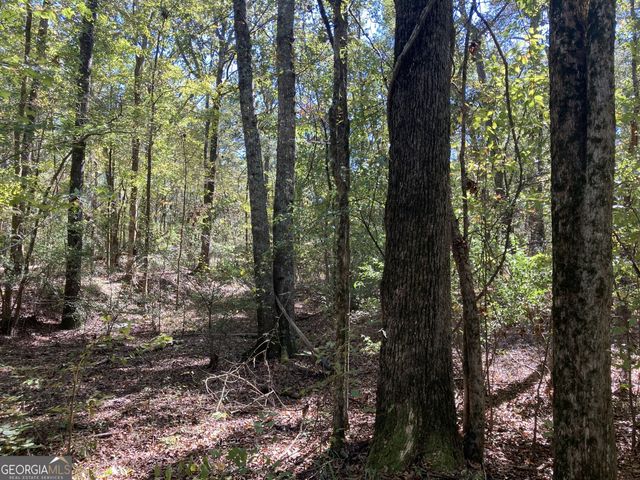 0 Flatwoods Road, Elberton, GA 30635