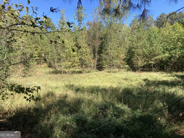 0 Flatwoods Road, Elberton, GA 30635