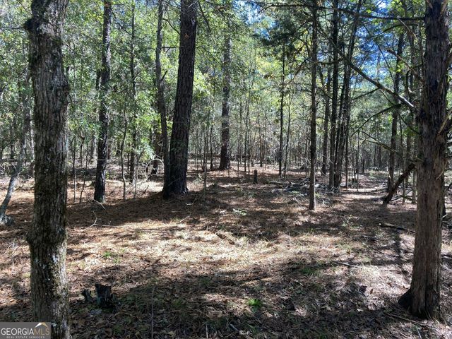 0 Flatwoods Road, Elberton, GA 30635