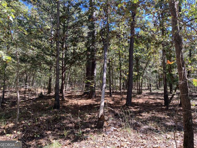 0 Flatwoods Road, Elberton, GA 30635