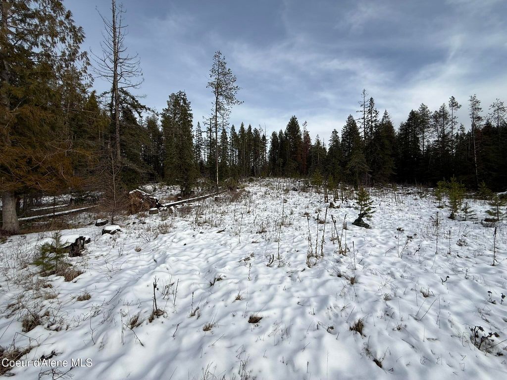 NKA Janes LN, St. Maries, ID 83861 photo 10