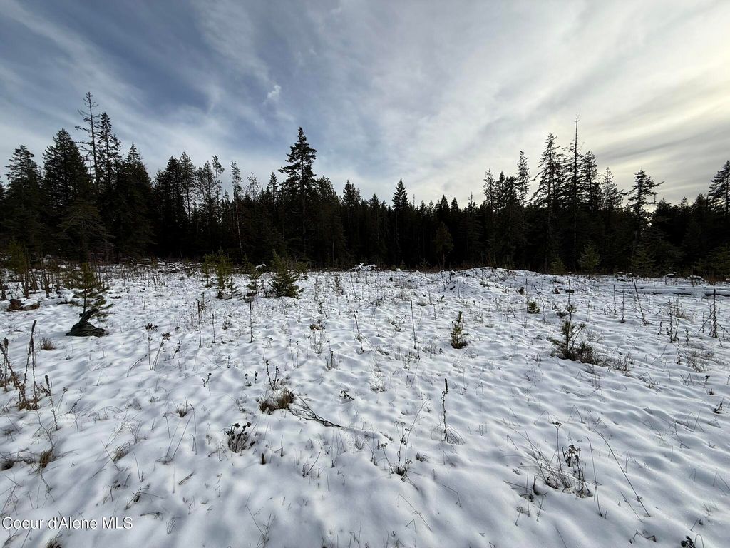 NKA Janes LN, St. Maries, ID 83861 photo 11