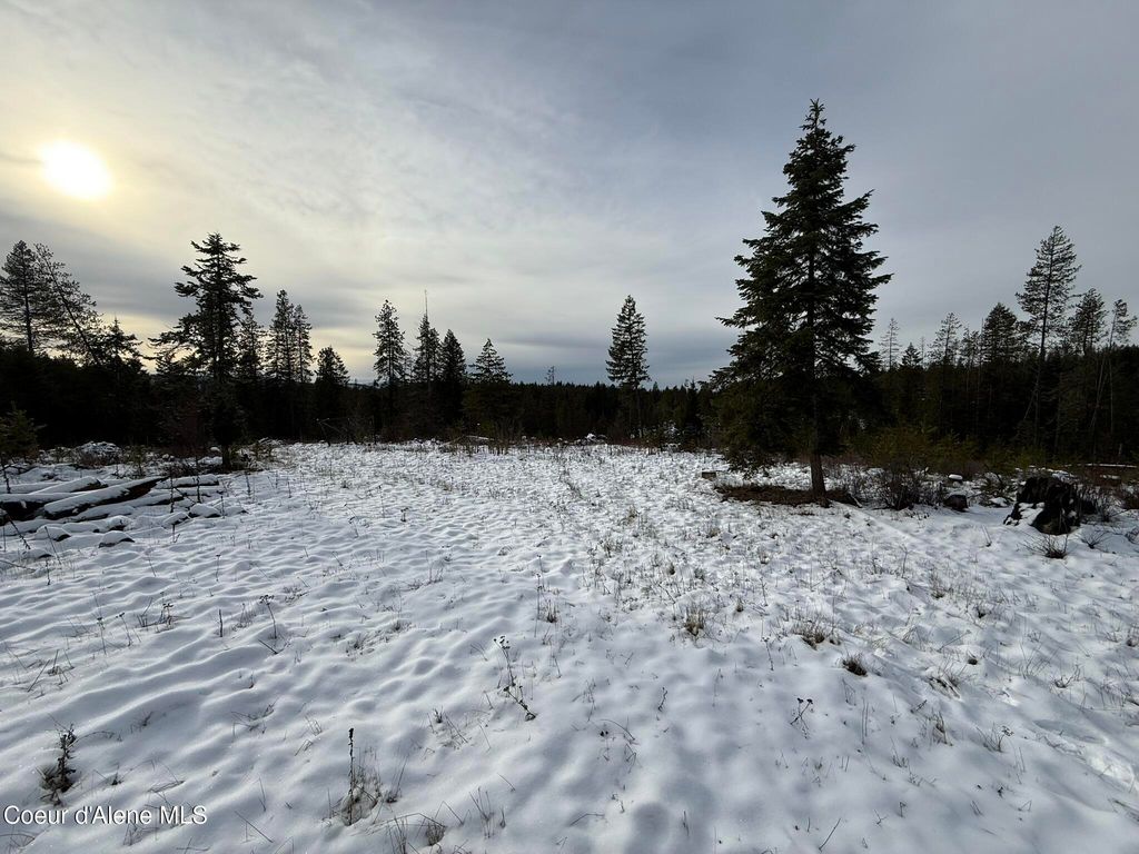 NKA Janes LN, St. Maries, ID 83861 photo 13