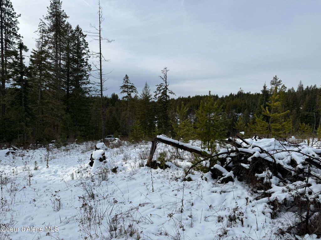 NKA Janes LN, St. Maries, ID 83861 photo 15