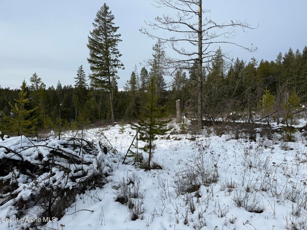 NKA Janes LN, St. Maries, ID 83861 photo 16