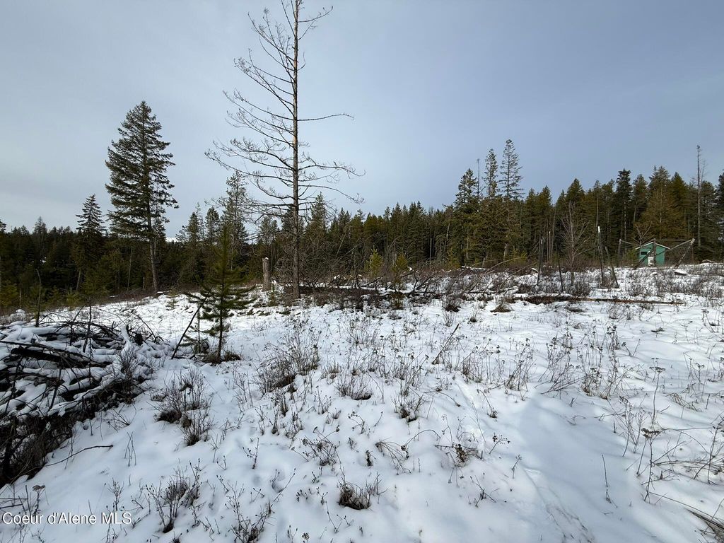 NKA Janes LN, St. Maries, ID 83861 photo 18