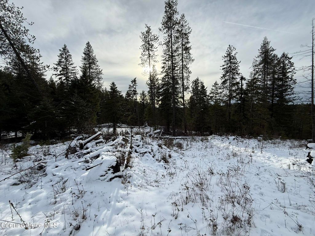 NKA Janes LN, St. Maries, ID 83861 photo 19