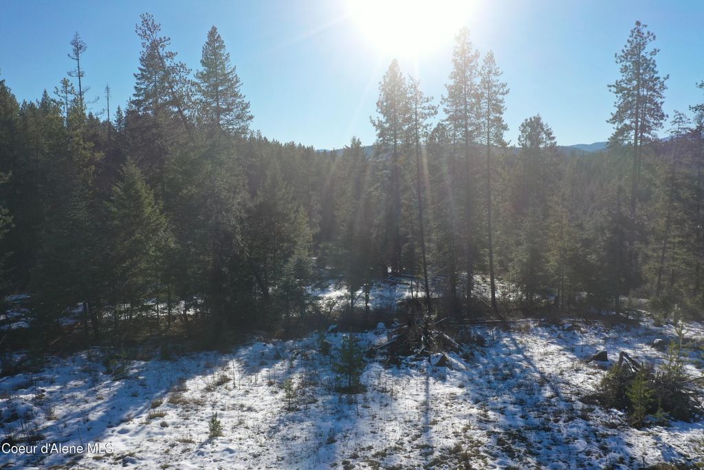 NKA Janes LN, St. Maries, ID 83861 photo 23