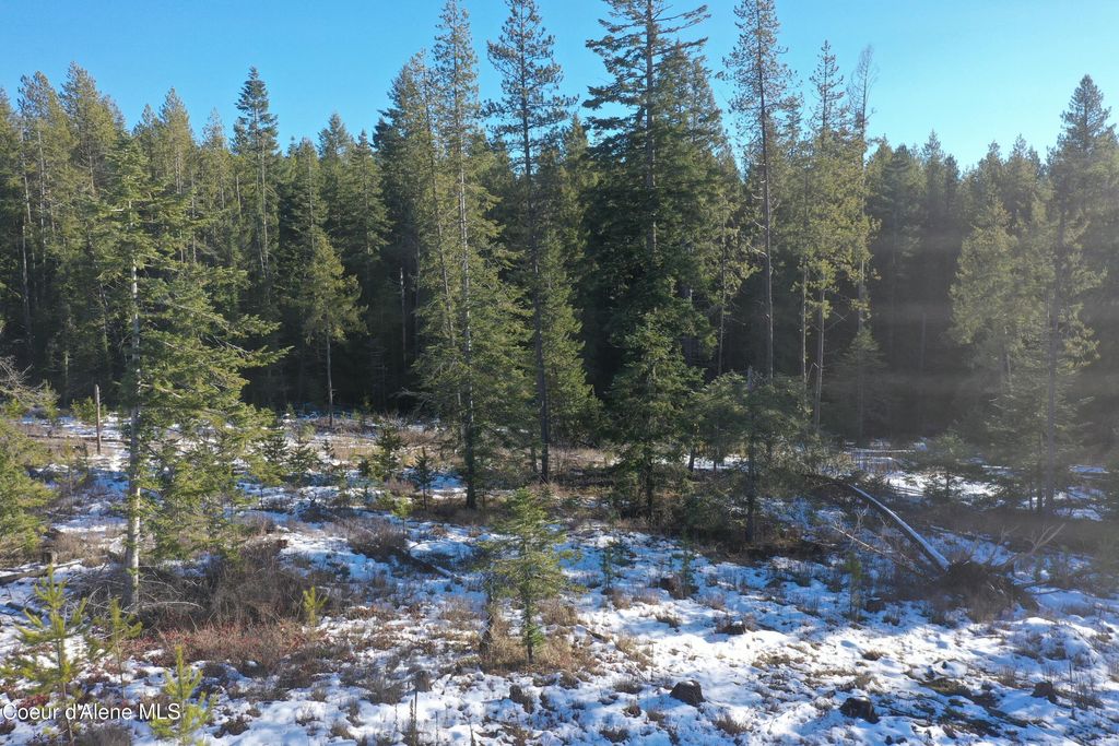 NKA Janes LN, St. Maries, ID 83861 photo 24