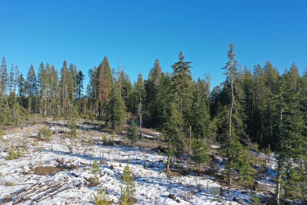 NKA Janes LN, St. Maries, ID 83861 photo 25