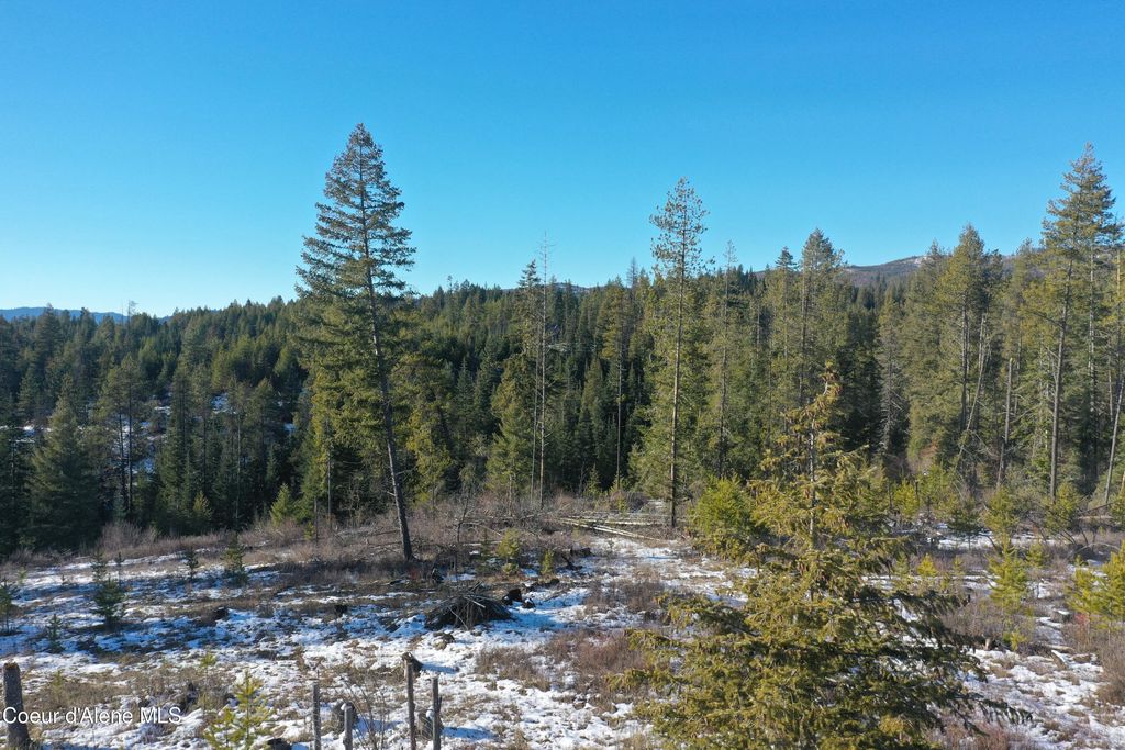 NKA Janes LN, St. Maries, ID 83861 photo 27