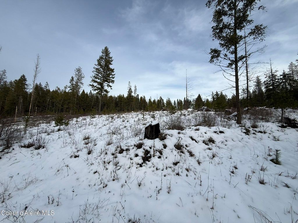 NKA Janes LN, St. Maries, ID 83861 photo 3