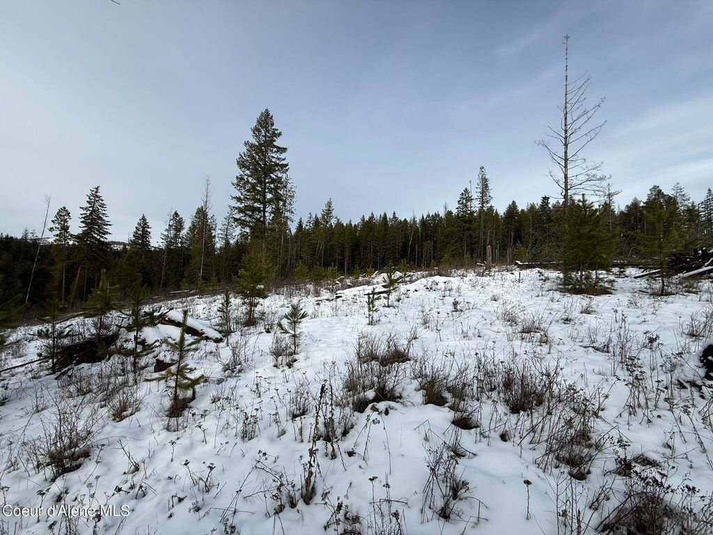 NKA Janes LN, St. Maries, ID 83861 photo 4