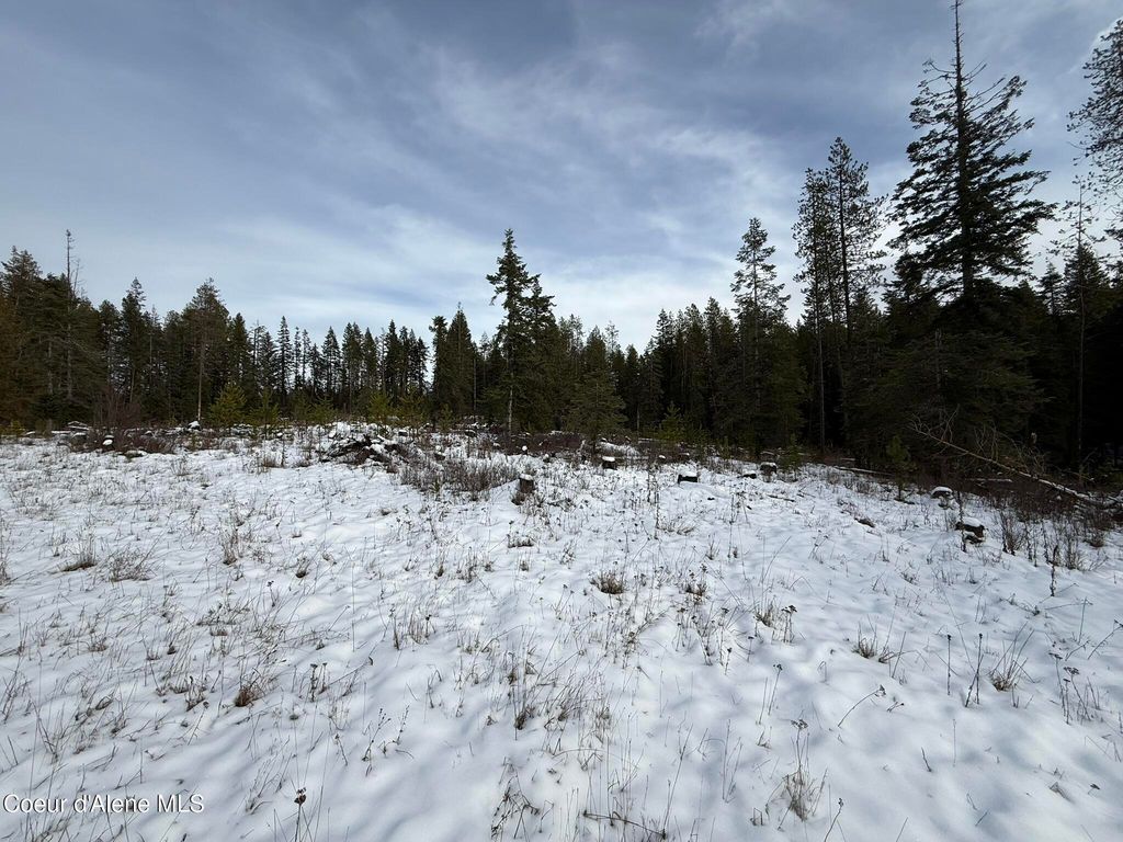 NKA Janes LN, St. Maries, ID 83861 photo 5