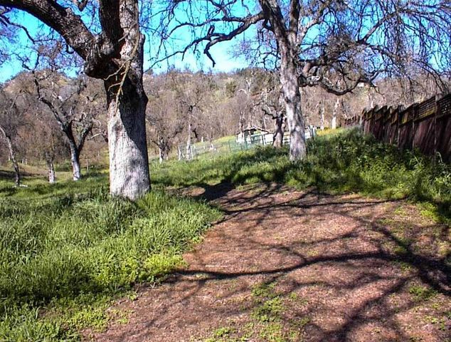 37314 Mistletoe Road, Yokuts Valley, CA 93675