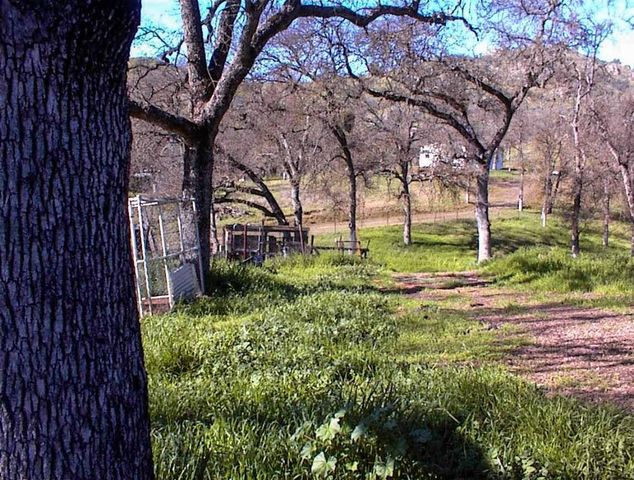 37314 Mistletoe Road, Yokuts Valley, CA 93675