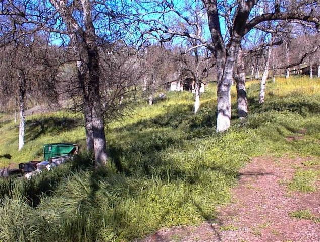 37314 Mistletoe Road, Yokuts Valley, CA 93675