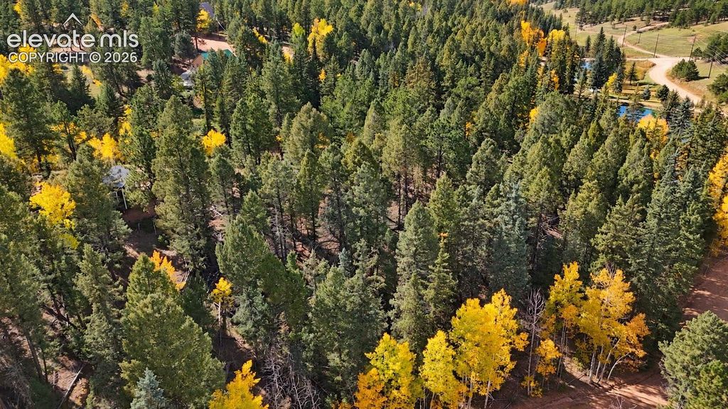 11 Nebraska Circle, Florissant, CO 80816 — photo 2