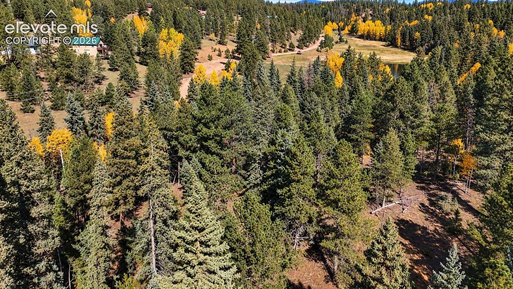 11 Nebraska Circle, Florissant, CO 80816 — photo 5