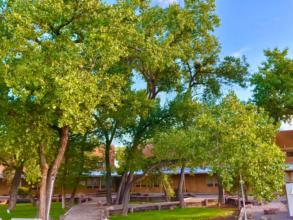 230 Cynthia Court NW A, Albuquerque, NM 87114