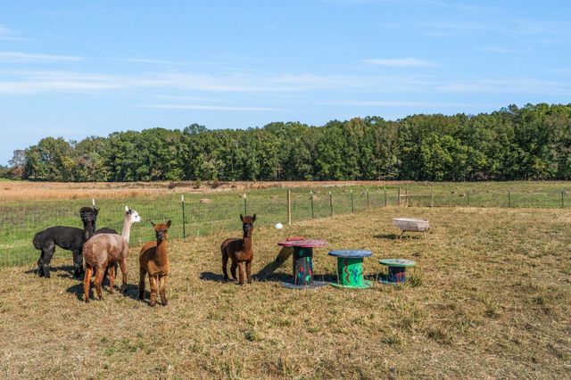 128 Emma Ln, Hohenwald, TN 38462