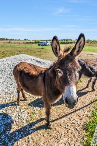 128 Emma Ln, Hohenwald, TN 38462