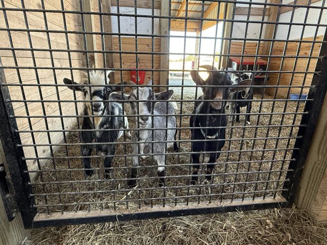 128 Emma Ln, Hohenwald, TN 38462