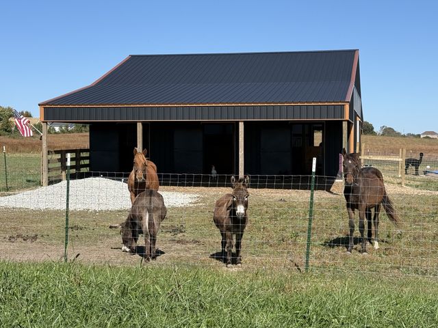 128 Emma Ln, Hohenwald, TN 38462