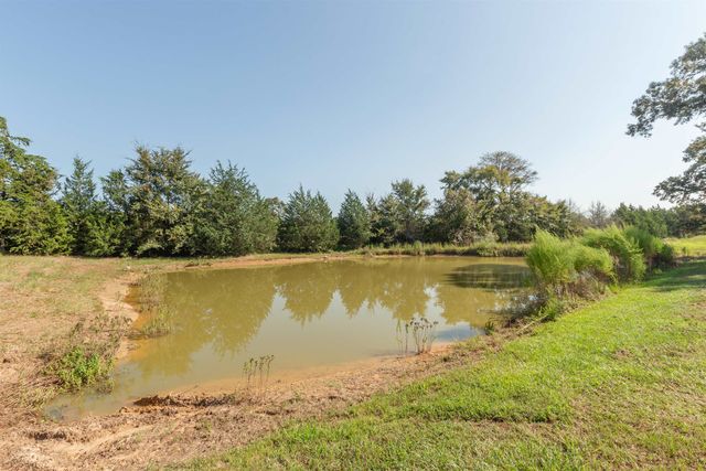 313 CR 4617, Troup, TX 75789