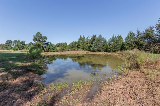 313 CR 4617, Troup, TX 75789