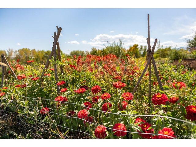 5952 Oxford Rd, Niwot, CO 80503