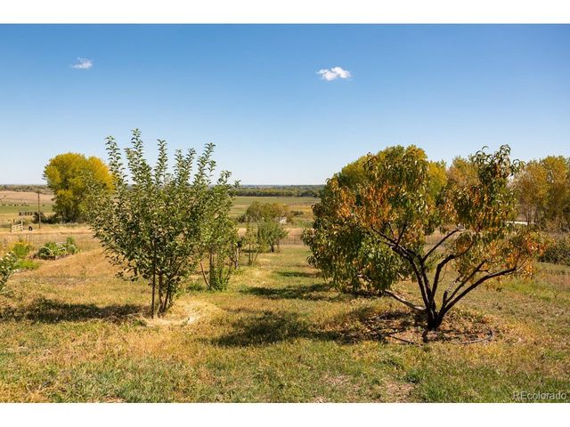 5952 Oxford Rd, Niwot, CO 80503