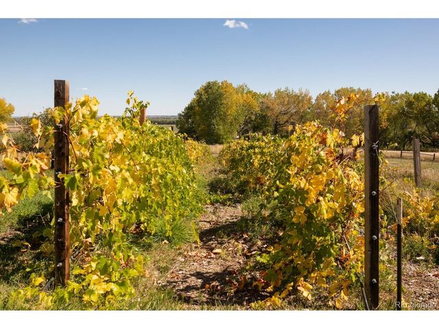 5952 Oxford Rd, Niwot, CO 80503