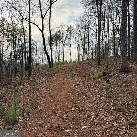 316 Pebble Trace Street, Ellijay, GA 30540