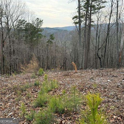 316 Pebble Trace Street, Ellijay, GA 30540