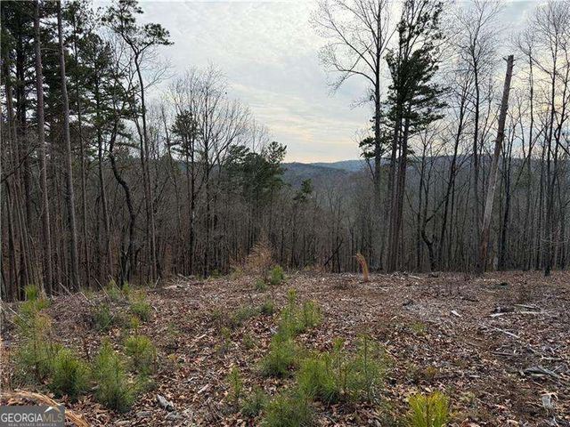 316 Pebble Trace Street, Ellijay, GA 30540