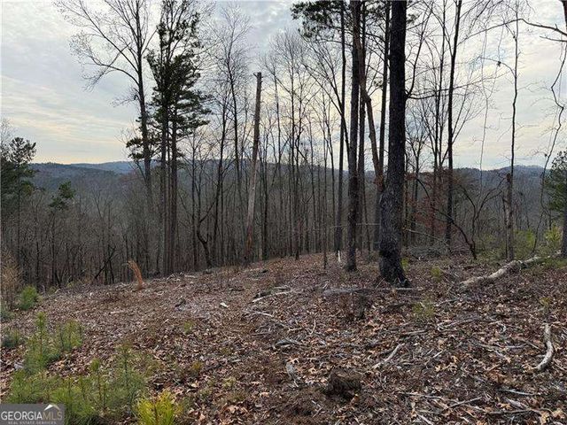 316 Pebble Trace Street, Ellijay, GA 30540