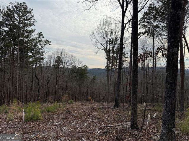 316 Pebble Trace Street, Ellijay, GA 30540