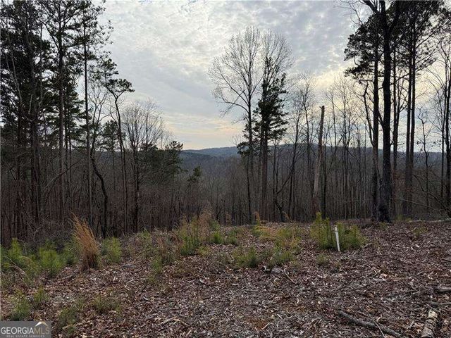 316 Pebble Trace Street, Ellijay, GA 30540