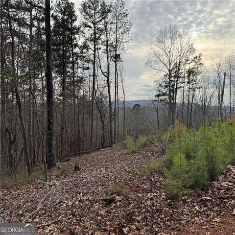 316 Pebble Trace Street, Ellijay, GA 30540