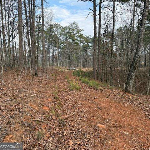 316 Pebble Trace Street, Ellijay, GA 30540