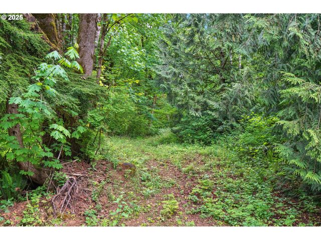 250 SYLVAN Way, Longview, WA 98632