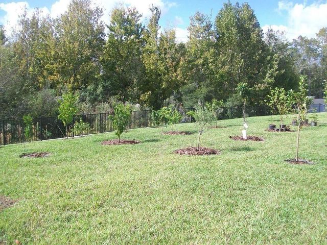 4752 BLUE DIAMOND STREET, Kissimmee, FL 34746