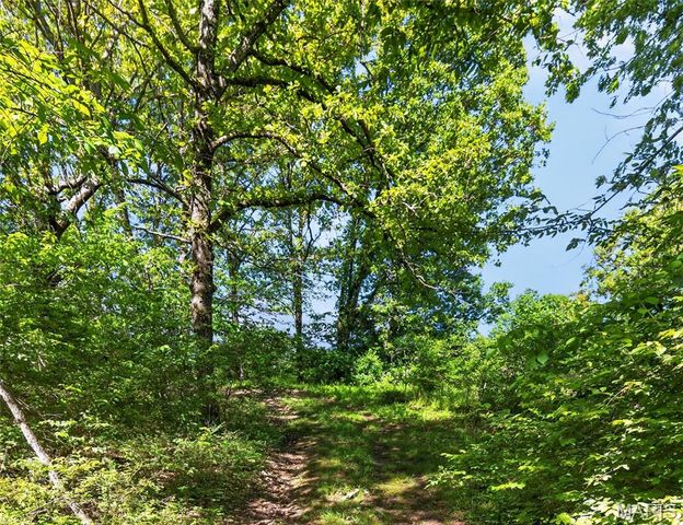 12971 Cowboy Drive, De Soto, MO 63020